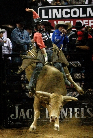 dominic strickland recommends Naked Bull Rider