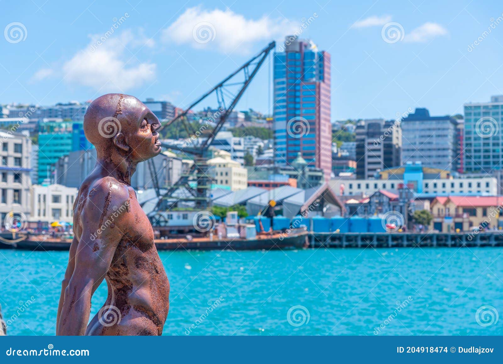 naked new zealand men