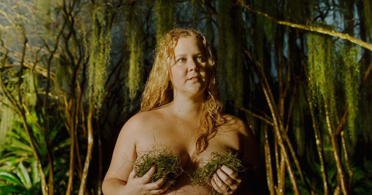 dominic christopher recommends nude amy schumer pic