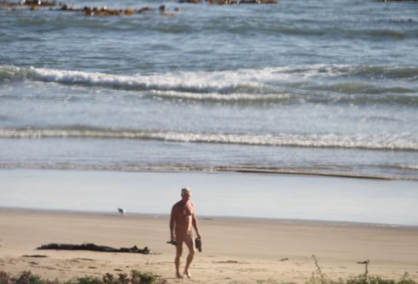 anthony merola recommends nude beach exhibitionism pic