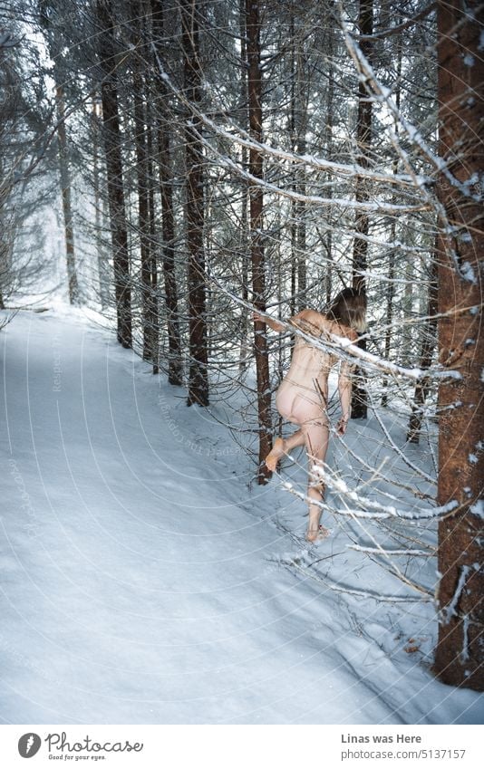 adib redzuan recommends nude woman in the snow pic