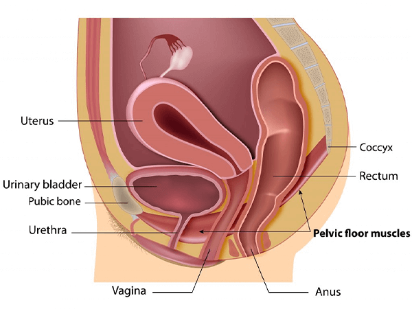 Best of Painful penetration porn