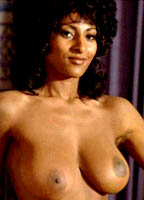 amanda rodrigo recommends Pam Grier Sex Scenes