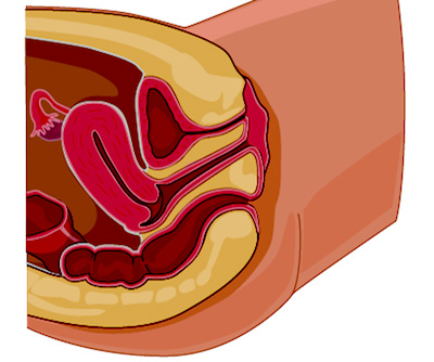 Pelvic Exam Porn job award