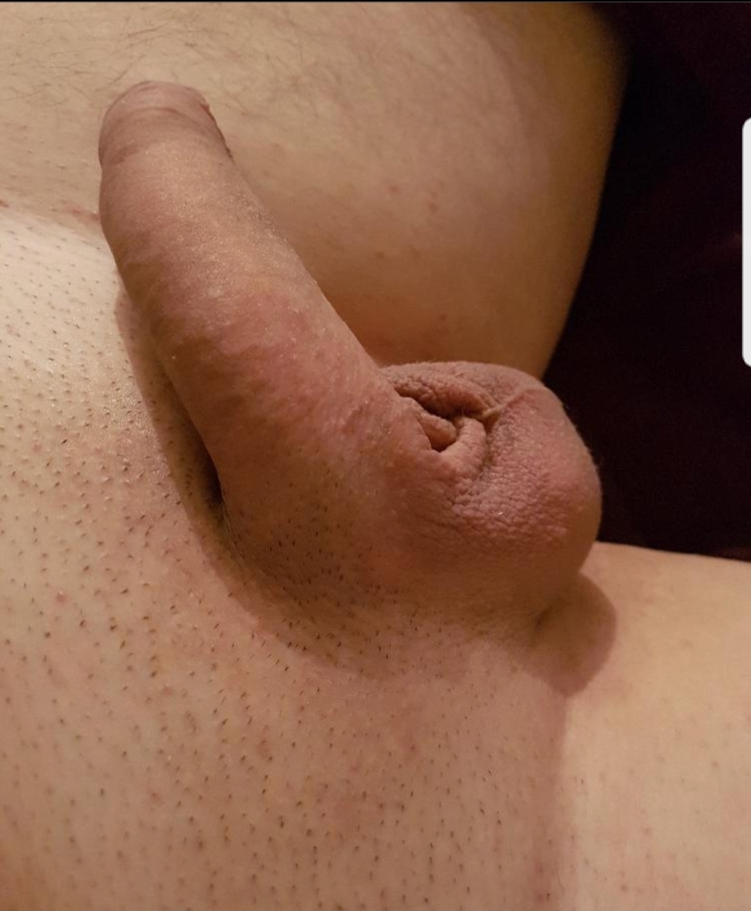 Best of Penis bilder