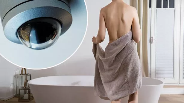 Real Spycam Nudes echidna sexy