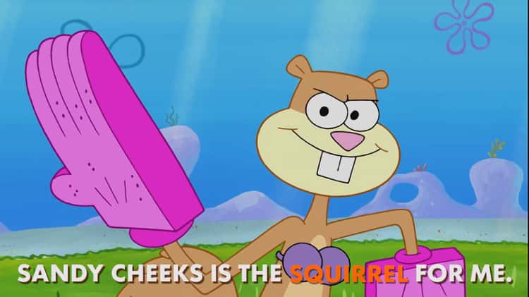 christina gochicoa recommends Sandy Cheeks Hot