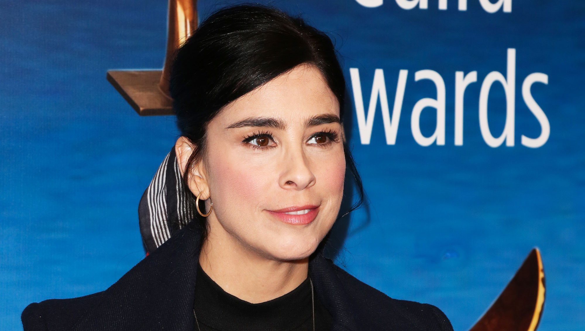 don sera share sarah silverman in bikini photos