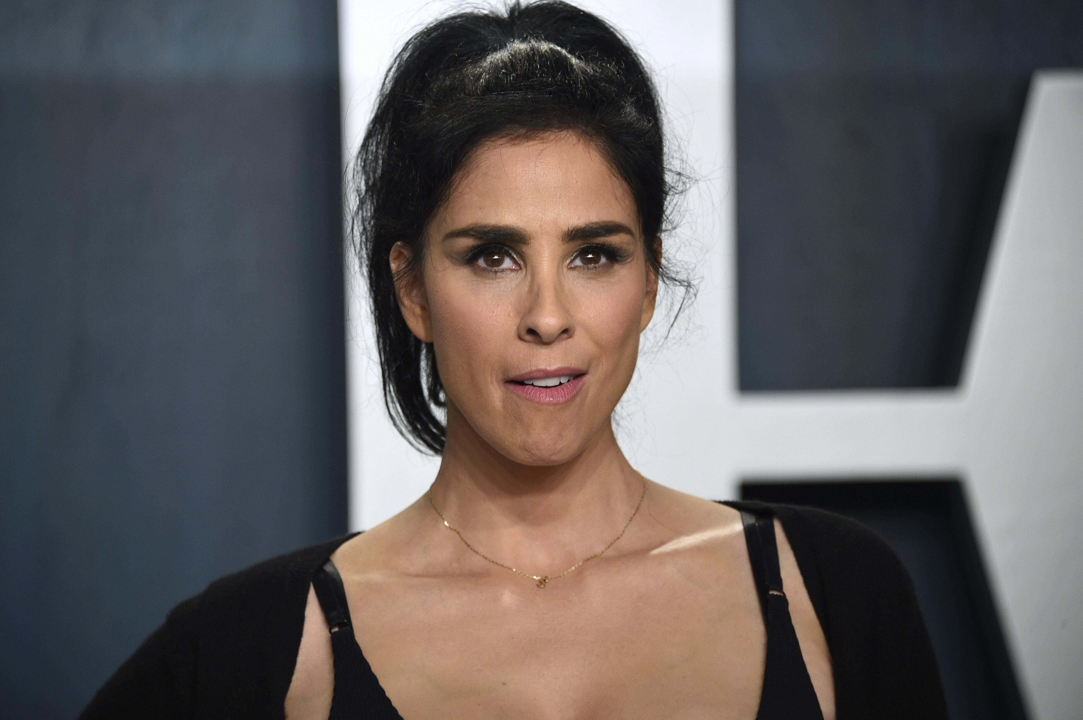 brendan john lloyd recommends sarah silverman leaked pic