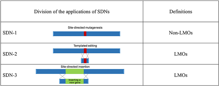 dejaegher bernard share sdni 001 photos