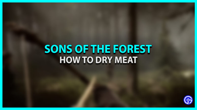 aziani ibrahim recommends sons of the forest drying rack pic