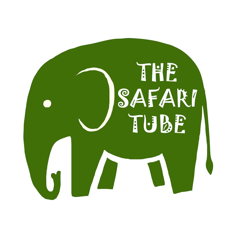 Best of Tube safari com