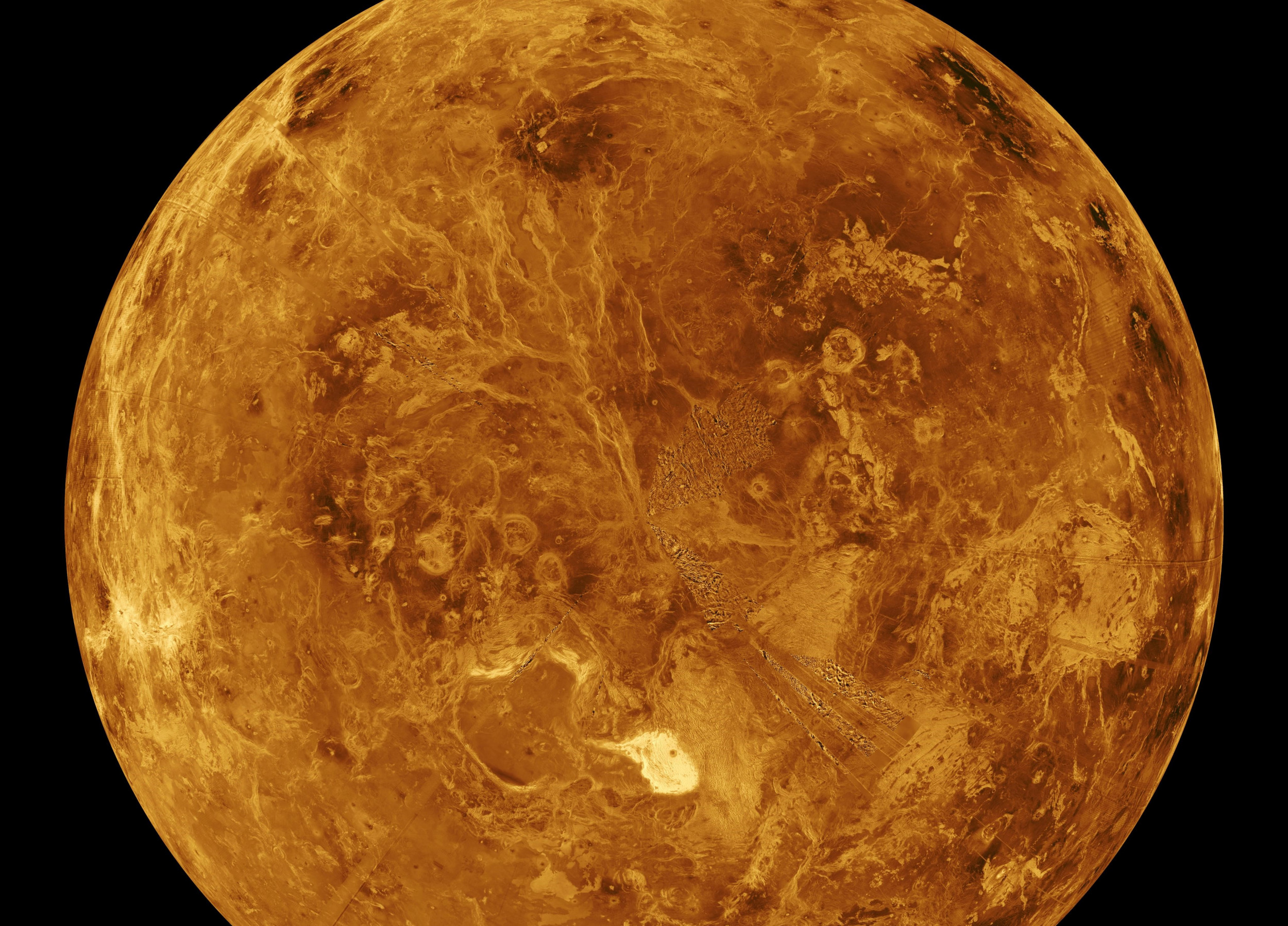 venus leaked